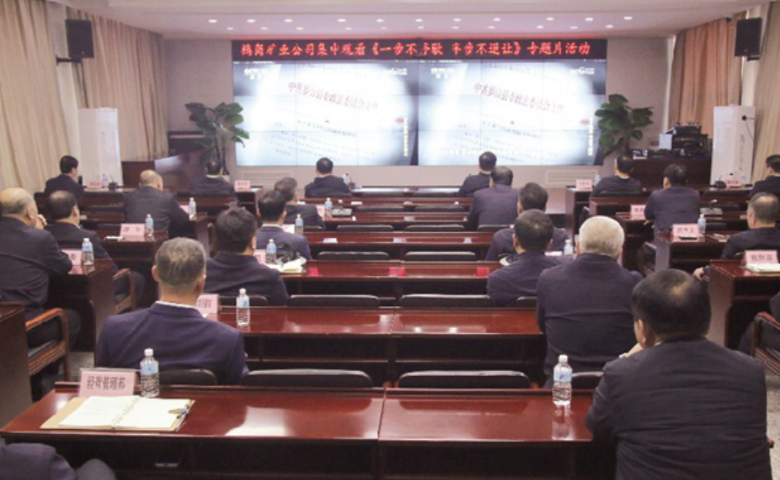 公司党委组织集中观看《一步不停歇 半步不退让》专...