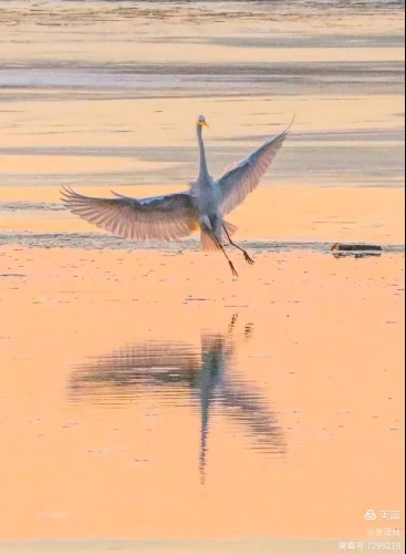 微信图片_20260313140415_313_91