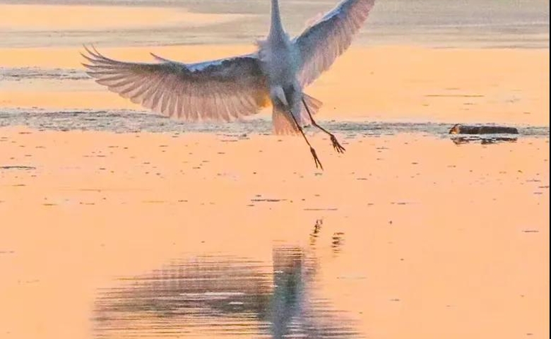她们，把芳华留在黑土地