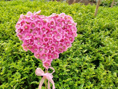 微信图片_20260327142327_458_91