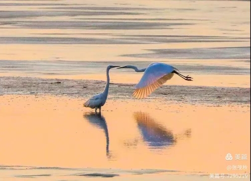 微信图片_20260408142908_221_24