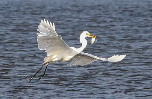 微信图片_2026-04-13_164212_376