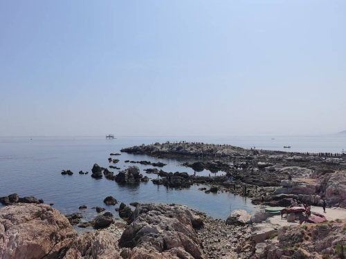 微信图片_20260420144630_667_91