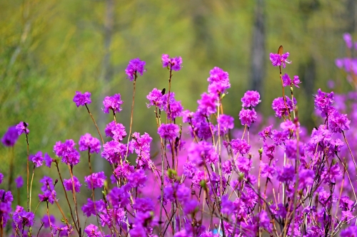 微信图片_20260420144627_665_91