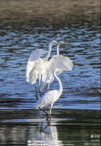 微信图片_2026-04-27_162759_478