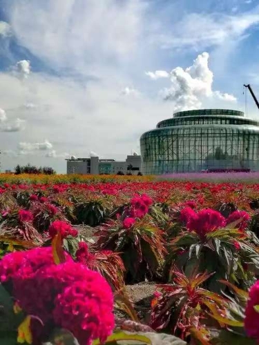 微信图片_20260907144329_118_123 微信图片_20260907144329_118_123